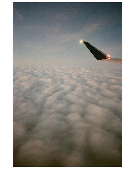 It feels like a dream (Portra 800, Nikon FM, 28mm 2.8)