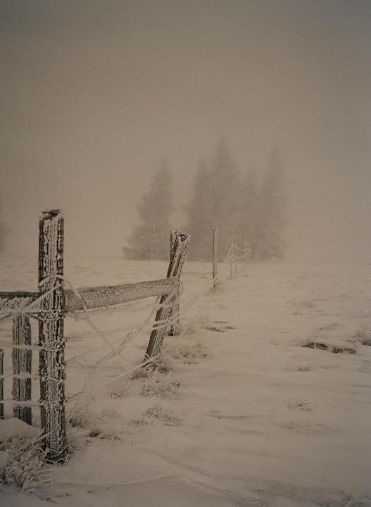 A wooden fence covered in frost stretches across a snow-covered field with trees in the background shrouded in fog.