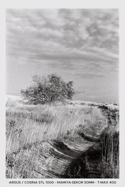 My First Year of Film, selections from every roll - Various cameras, lenses, and stocks