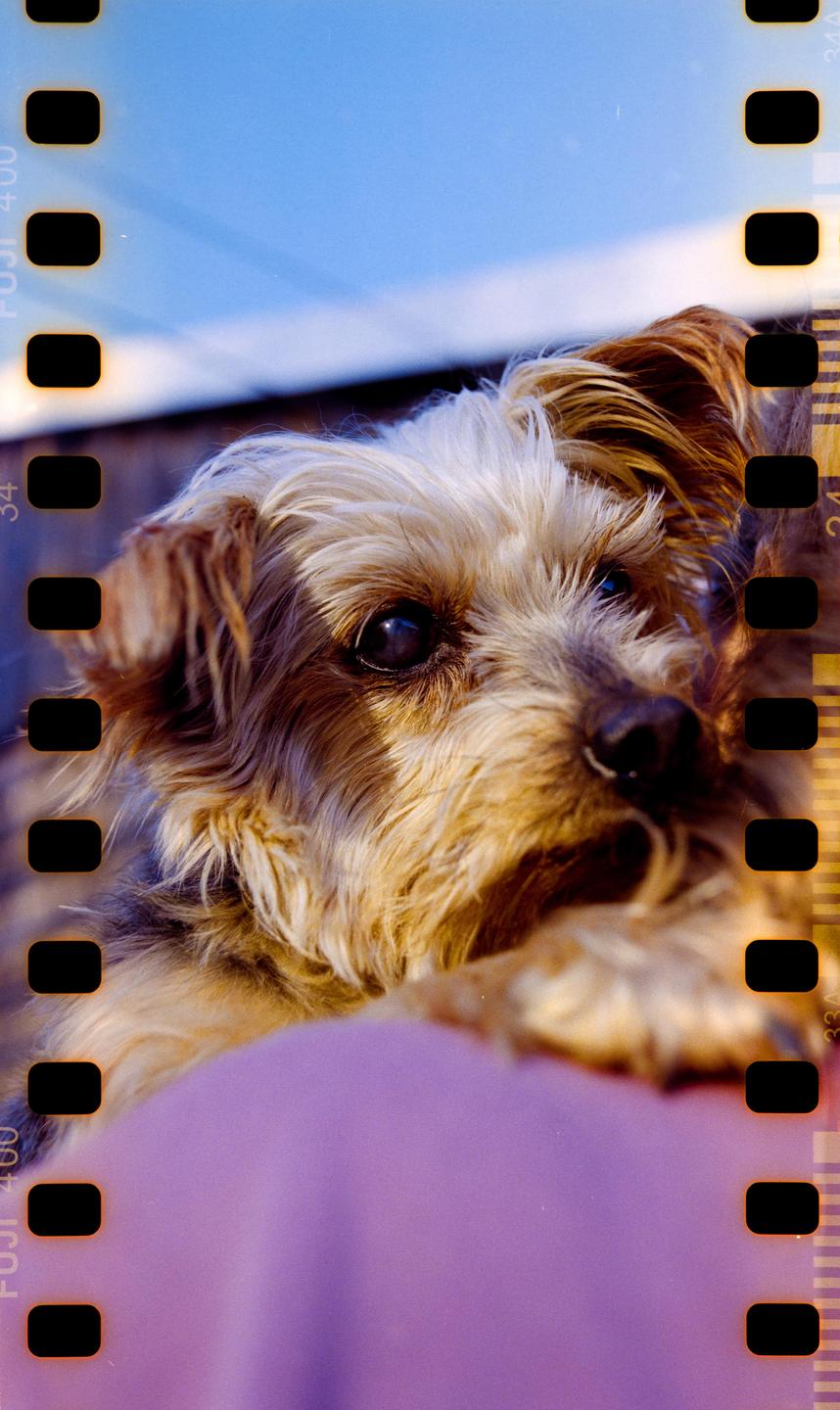 image 35986 by zeagan