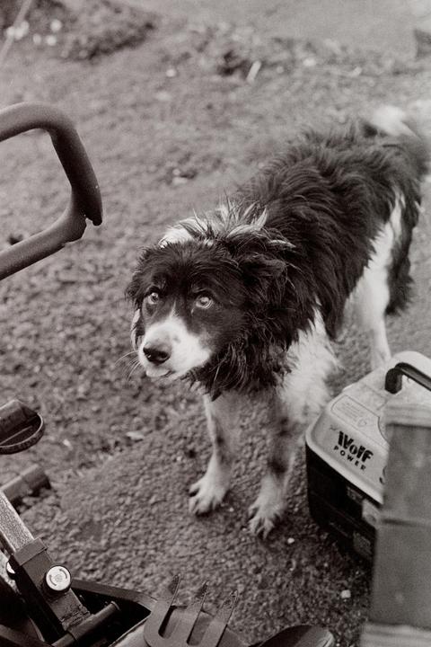 Max - Pentax K2, 50mm f1.4, Kodak Tri-X 400