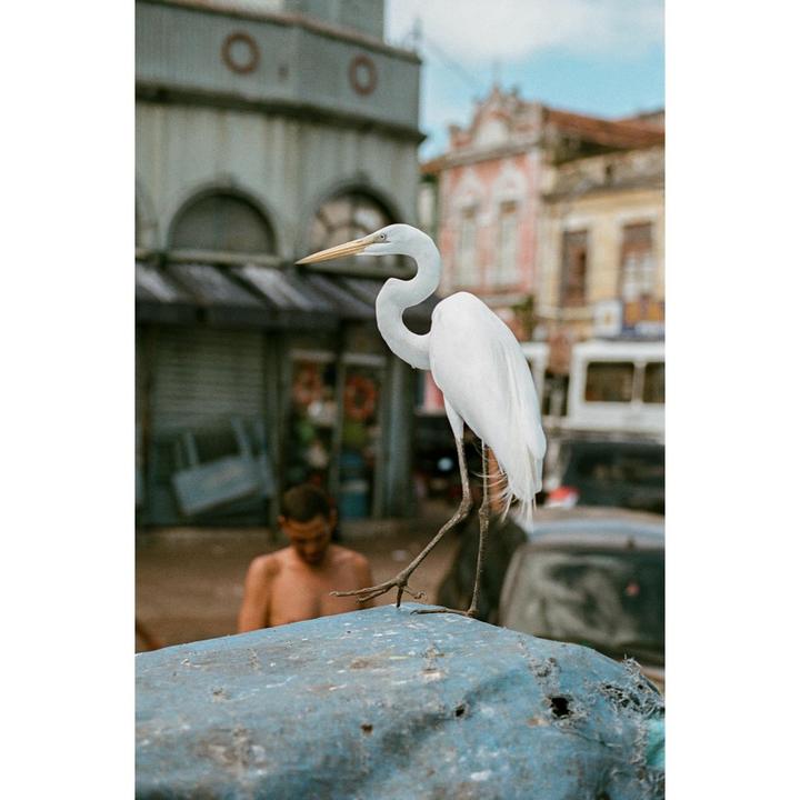 Walking around Belem Brazil