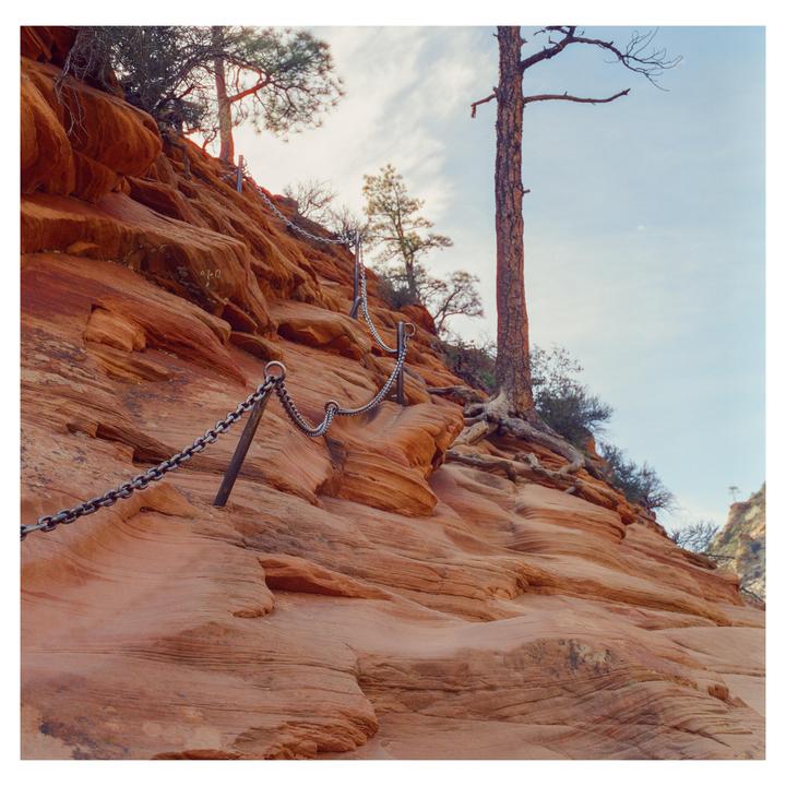 I hiked Angels Landing, with my Hasselblad, am I insane?(Hasselblad 501 CM, 50 mm cf, cinestill800t)