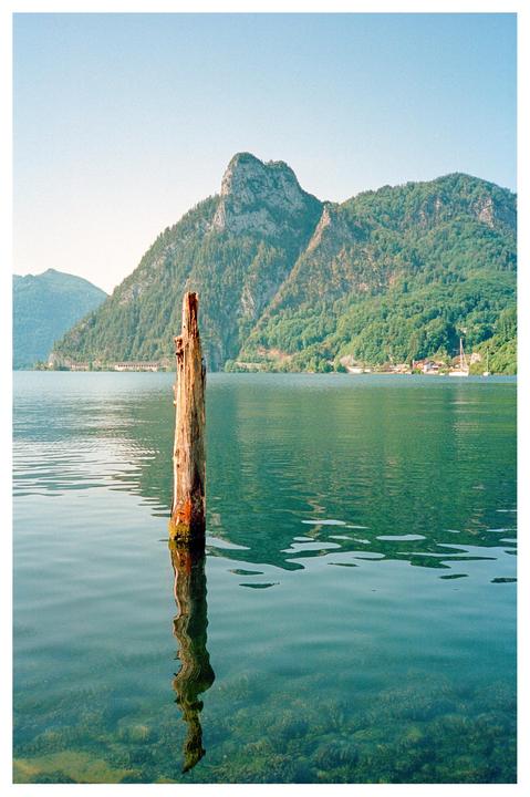 The last frame of the roll also turned out to be my favorite [Olympus XA, Portra 400]