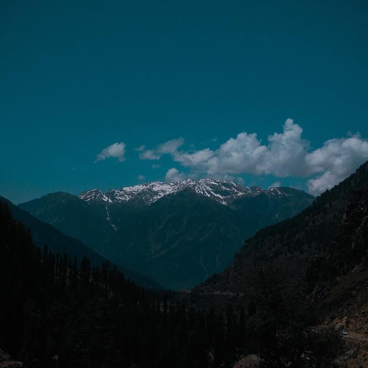 With or without white borders?