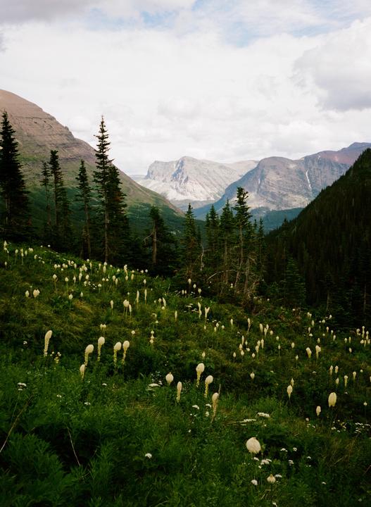 Hiking in Glacier NP // Fuji ga645, Portra 400
