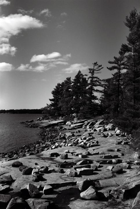 A rocky shoreline with pine trees and water under a cloudy sky.