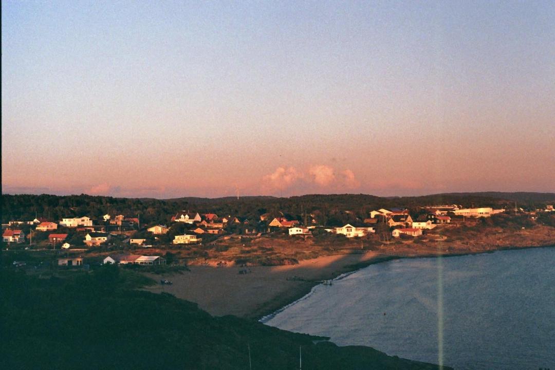 image 35504 by No_Question_8083
