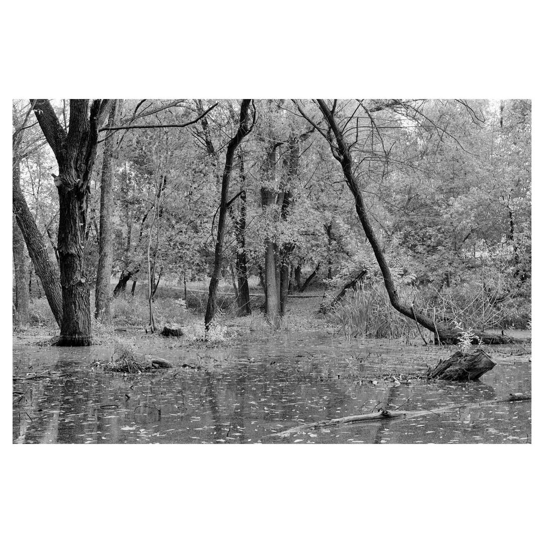 image 35704 by late-november