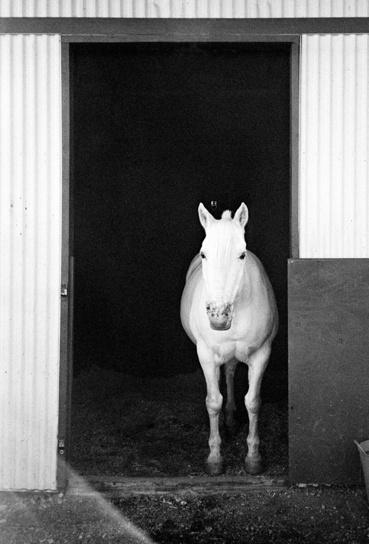image 34986 by 35in49