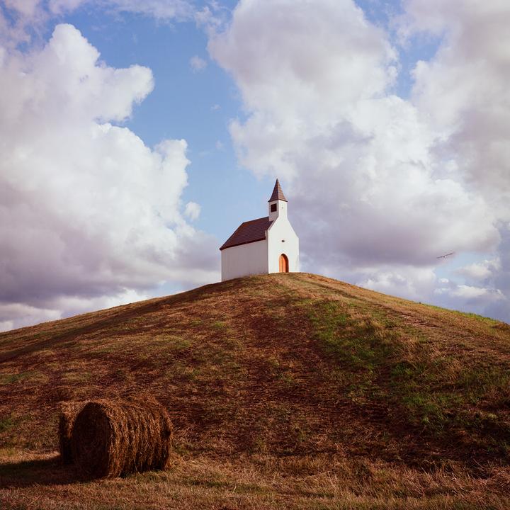 Simulacra [Rolleiflex 3.5f, Planar 70mm, Kodak Ektar 100]