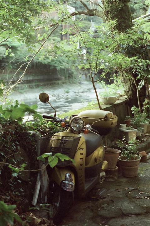 Hakone, Japan. Olympus OM-10 + Cinestill 400d