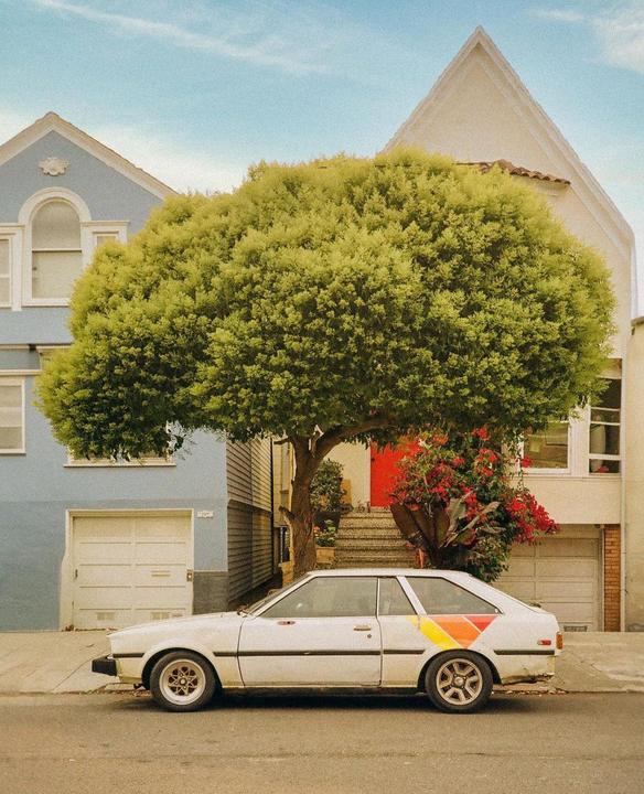 magic moment in sanny franny, cali 🌳🚙 [nikon l35af, kodak gold 200]