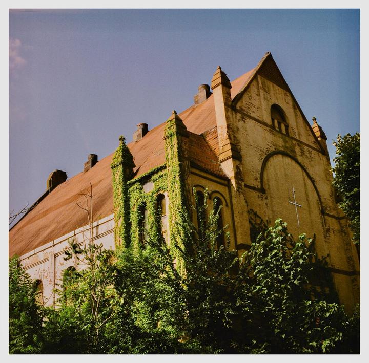 An old brick building with a red tile roof is overgrown with ivy and surrounded by trees under a clear sky.