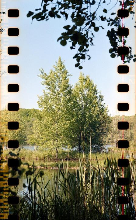 No post in 9 days in this sub? That's unacceptable, come on people! [Zenza Bronica SQ-A | Zenzanon 80mm f/2.8 | Fuji C200]