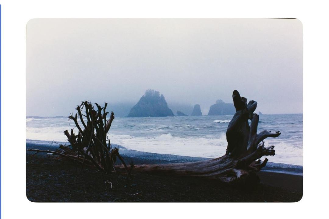 Driftwood lies on a dark sand beach with waves crashing and misty sea stacks in the distance.