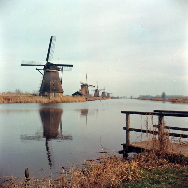 First experience with color film development. Zeiss Ikoflex / Kodak Gold200 / Cinestill c41 kit