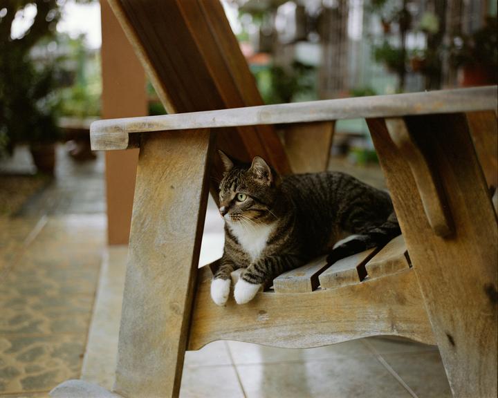This is what photography was invented for and you can't tell me otherwise. Mamiya 7, 80mm, Fuji pro 400h.
