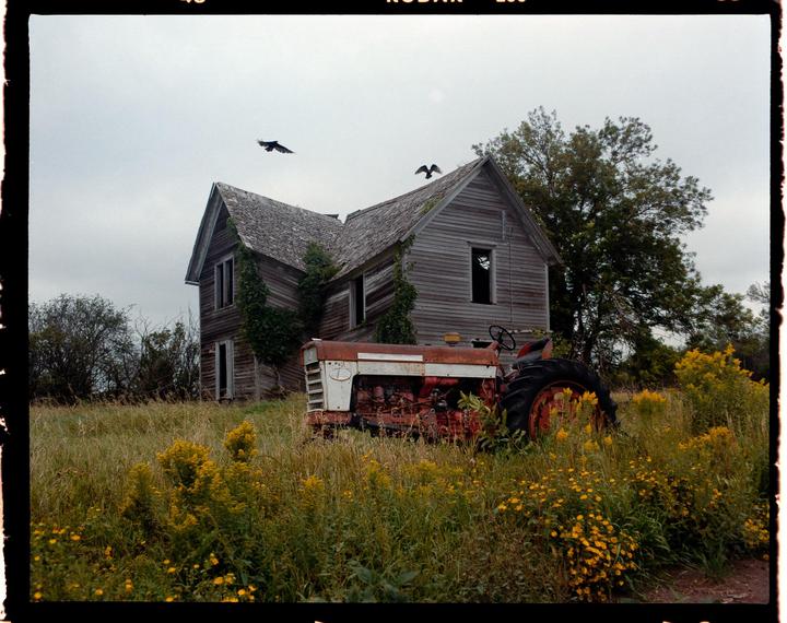 An abandoned wooden house and a rusty tractor sit in a field of tall grass and yellow wildflowers under a cloudy sky.