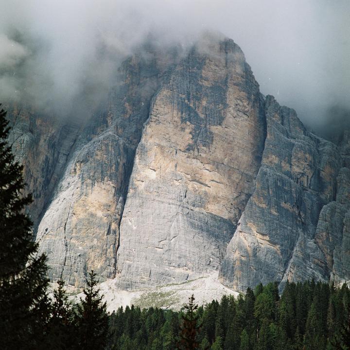 Zenza Bronica SQ-A / Kodak Gold