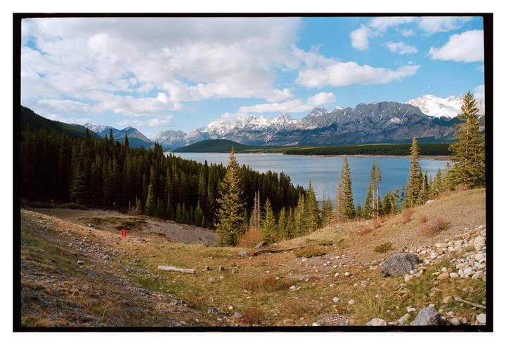 I took a job across the country, drove 42 hours, and all I got were these stinking photos! Nikon f100 with Ektar 100