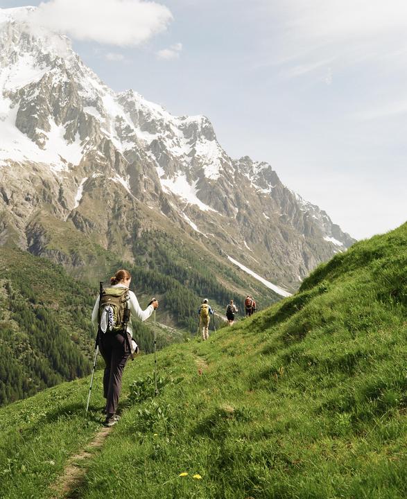 A group of hikers walk along a grassy mountain path with snow-capped mountains in the background.