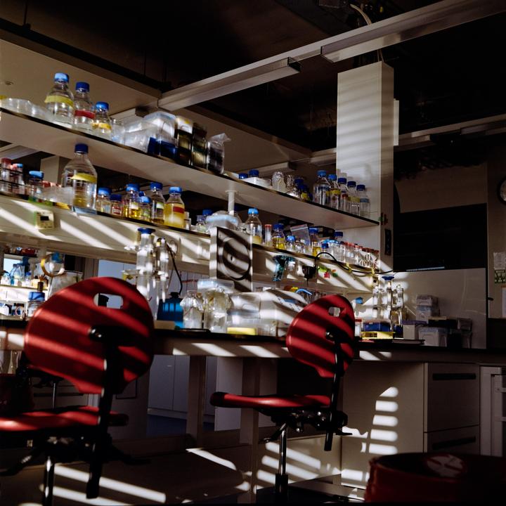 Sunday in the lab [Rolleicord V, Xenar 75mm f8.0 , Kodak Gold 200]