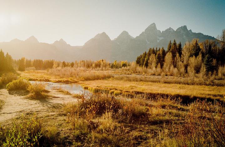 Grand Teton National Park on Gold 200
