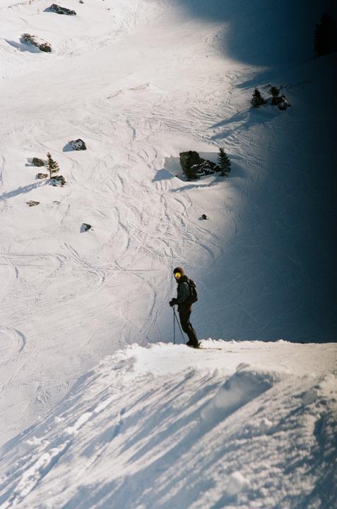 Out of the shadows (Olympus om-2n Zuiko 105mm Kodak gold 200)