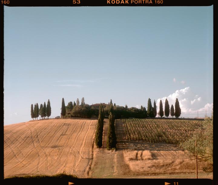 when was the last time you were home? (Mamiya rb67 pro s, we portra 160)