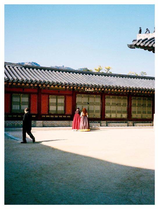 Shots around Seoul | Leica M7 | Summi 35mm f2 | Portra 400