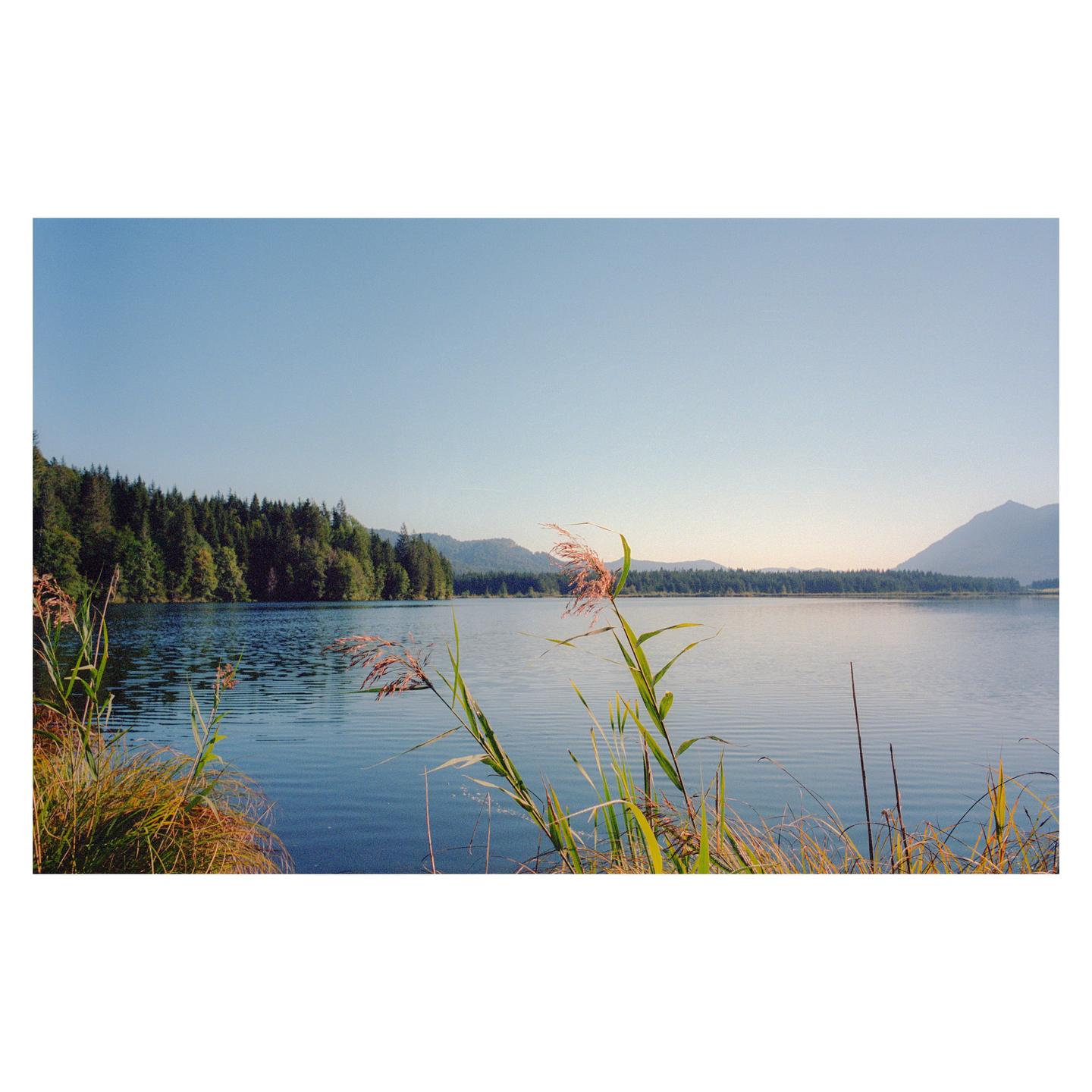 image 33151 by analoguevibez