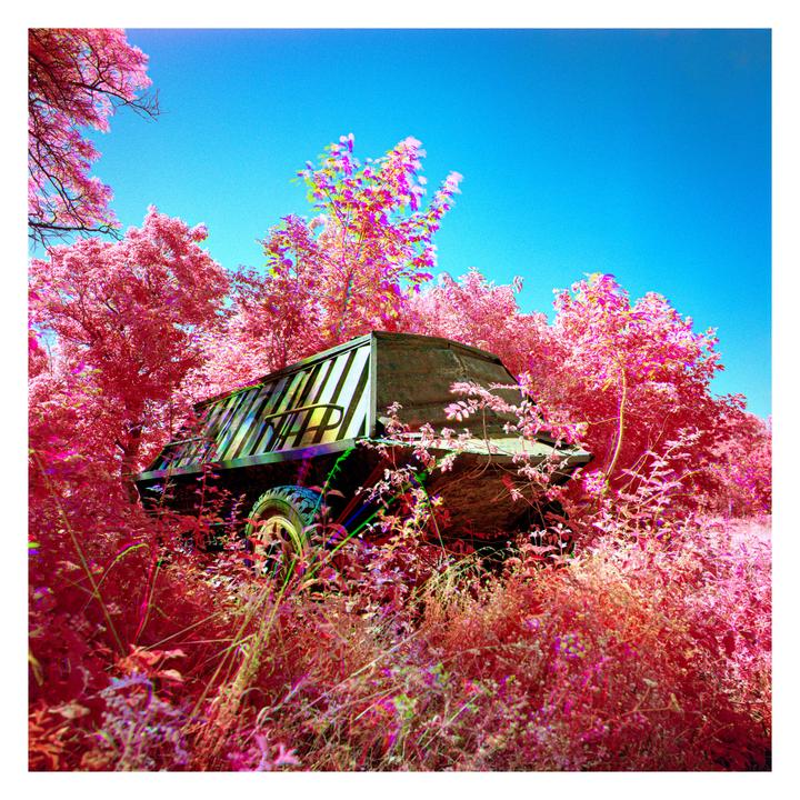 Infrared trichromes [Hasselblad 500CM | 50mm f/4 & 80mm f/2.8 | Rollei Infrared 400]
