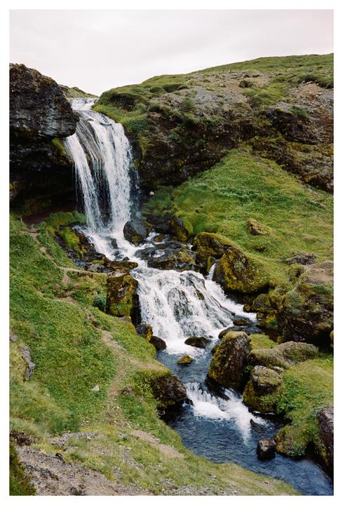 There’s Sheep in the Waterfall [M4, 35mm, Portra 400]