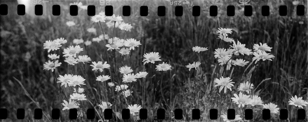 image 36695 by St4ntonDowd