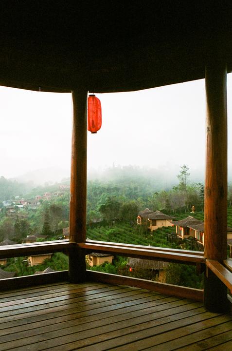 early morning on a tea farm [leica m4 // portra 400]