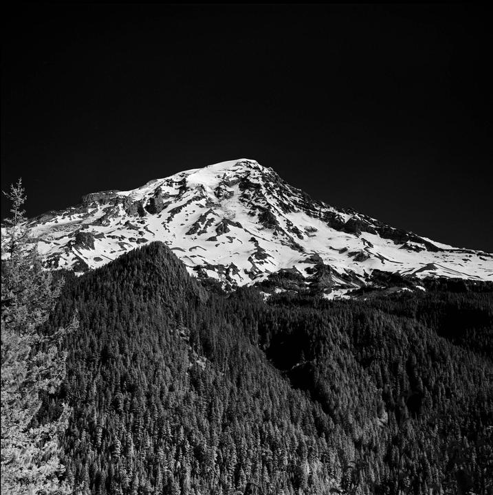 A snow-capped mountain rises above a dense forest under a dark sky.