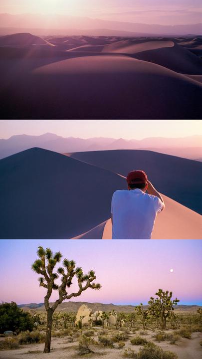 Magenta heaven. Leica M6, Voigtländer 35mm Ultron f2, Portra 400 and 800.