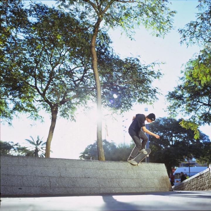 A man on a skateboard grinds a ledge under trees with the sun flaring in the background.