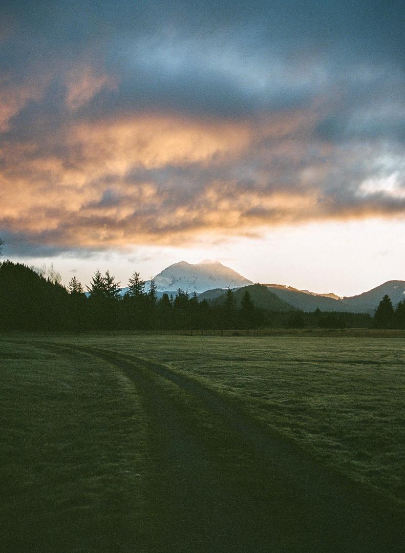 A dirt road curves through a grassy field towards a forest with a snow-capped mountain in the distance under a cloudy sky.