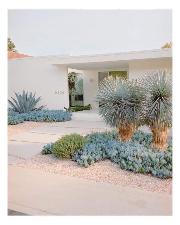 Cali | Leica M6 , Zeiss 35mm 2.8 , Portra400