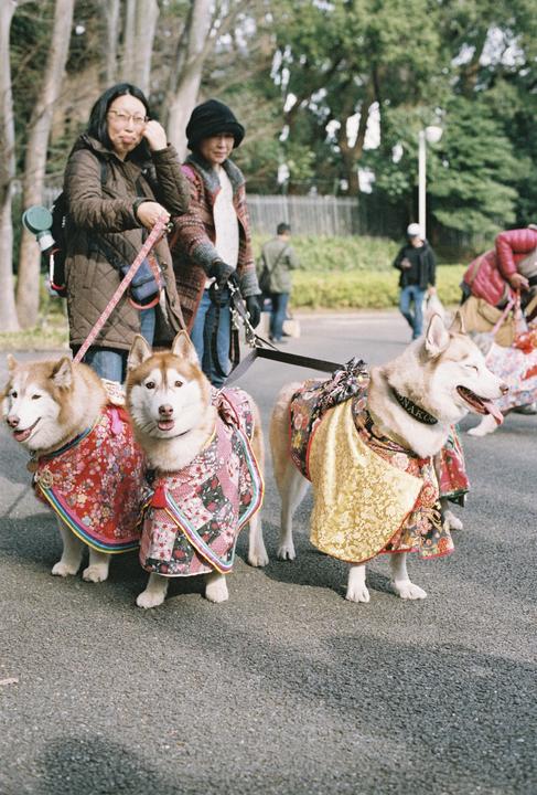 When I lived in Japan Vol.3 portrait edition