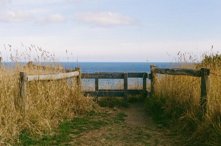 From a roadtrip in Victoria, shot on Kodak Portra 400