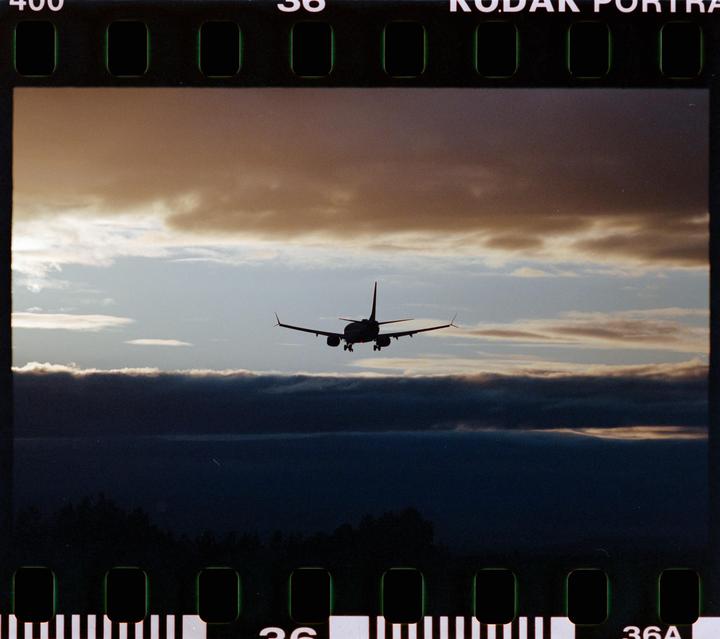 Out near PDX [Canon A2, 300mm f2.8, Portra 400]