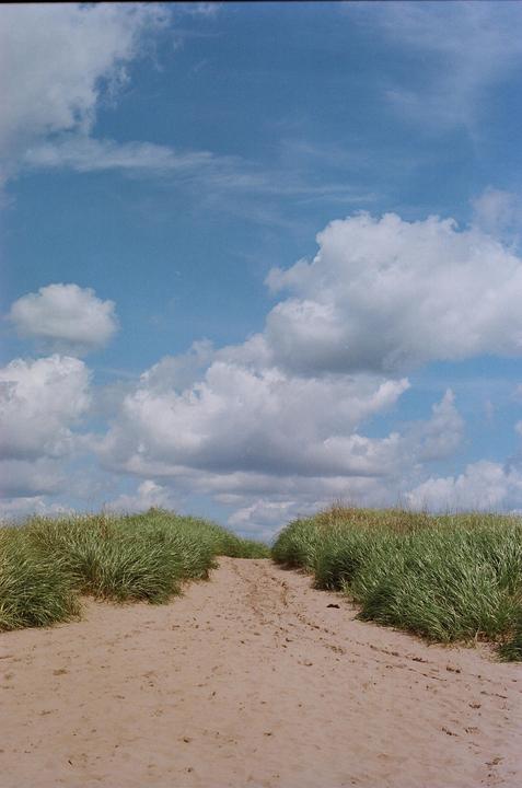 Nova Scotia Beach Days- Canon A1- Portra400- 50mm