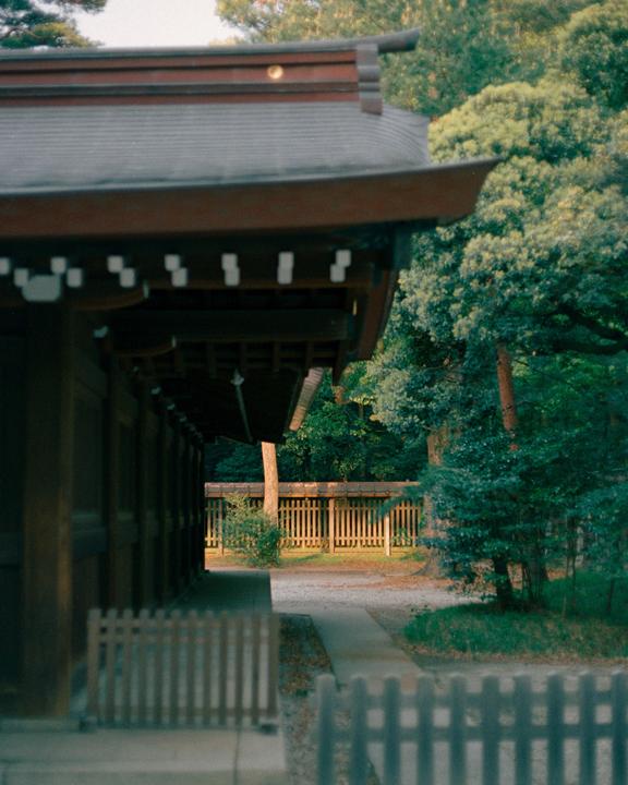 Minolta X-700 | MD 50mm f1.4 | Portra 400