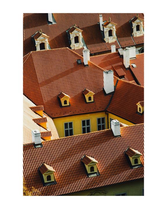 rooftops | canon a1 | fujicolor c200