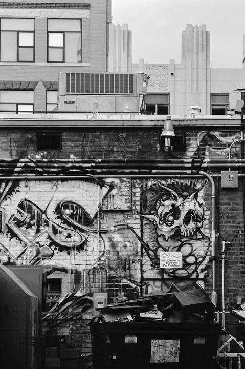 A black and white photograph captures a back alley with graffiti-covered brick walls and a dumpster filled with trash.