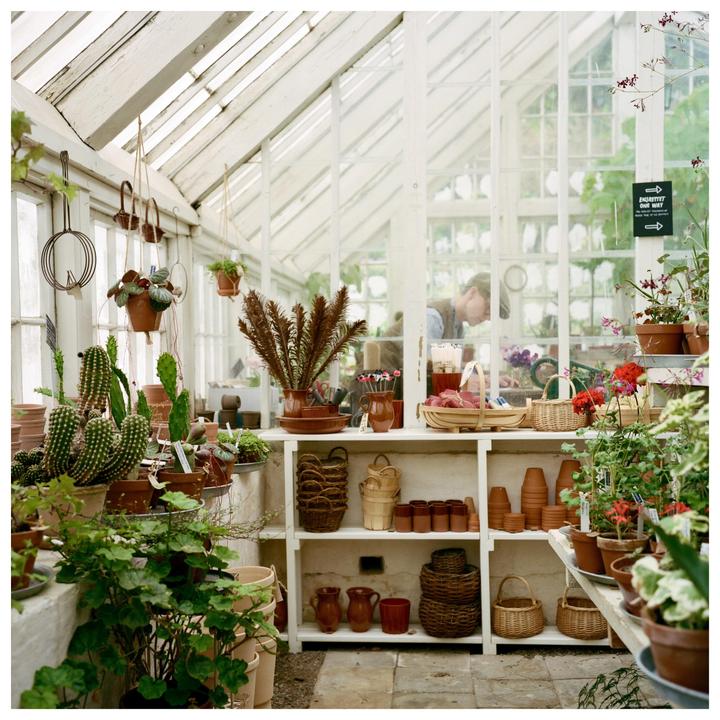 Rolleiflex 3.5F Planar, Kodak Portra 400
