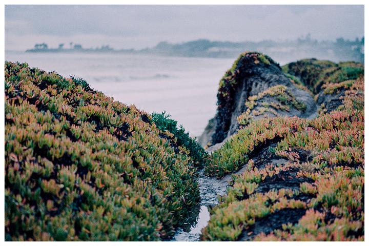 Coastal Erosion During A Storm (Nikon FM3A, 80-200mm, UltraMax 400)